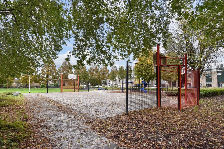 Foto 50 van Ponyweide 49