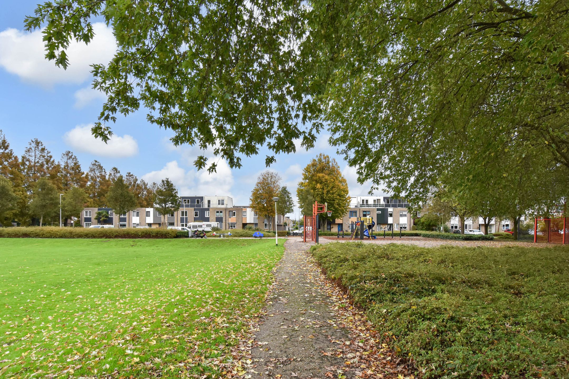 Foto 51 van Ponyweide 49