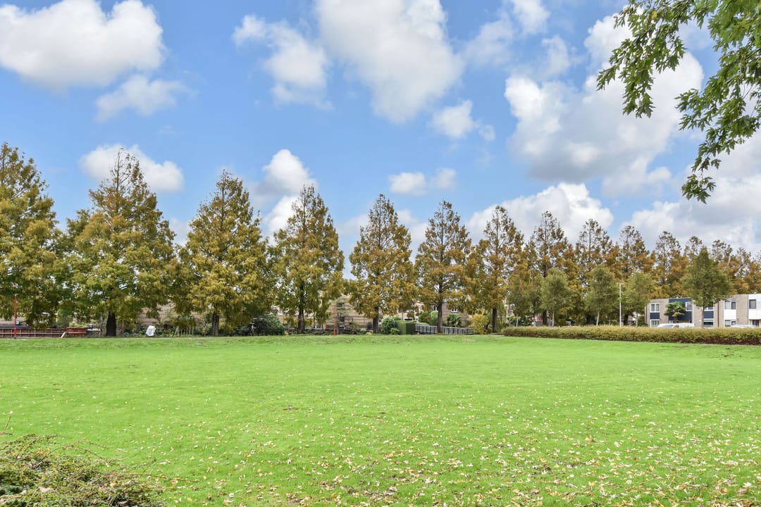 Foto 52 van Ponyweide 49