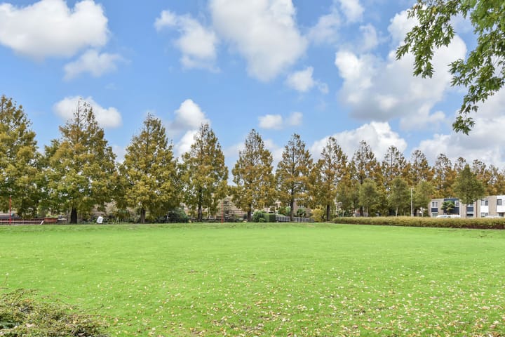 Foto 52 van Ponyweide 49