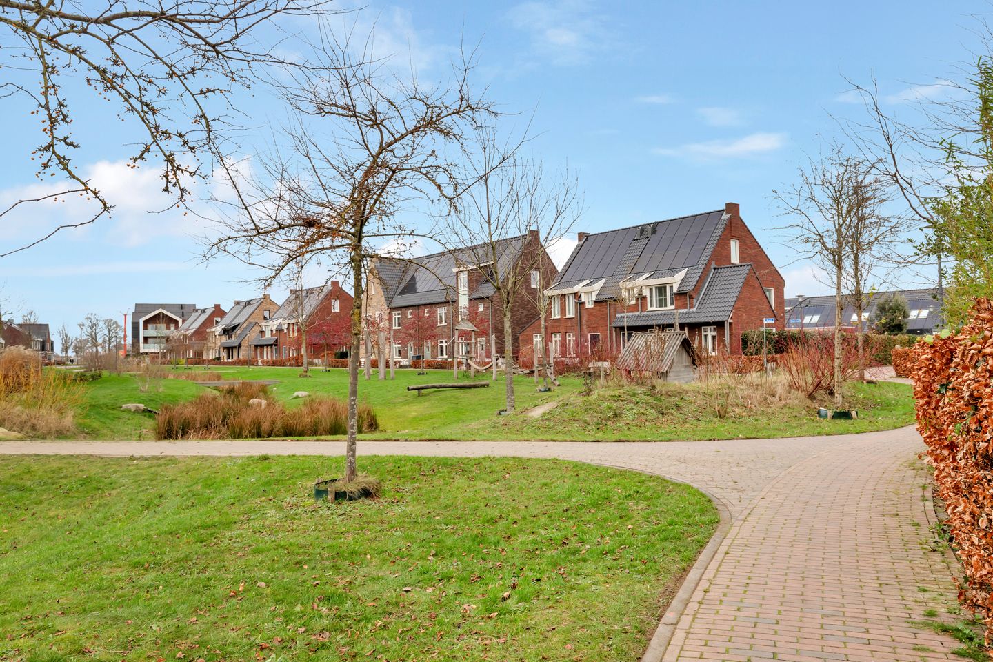 Foto 29 van Aardbei 9