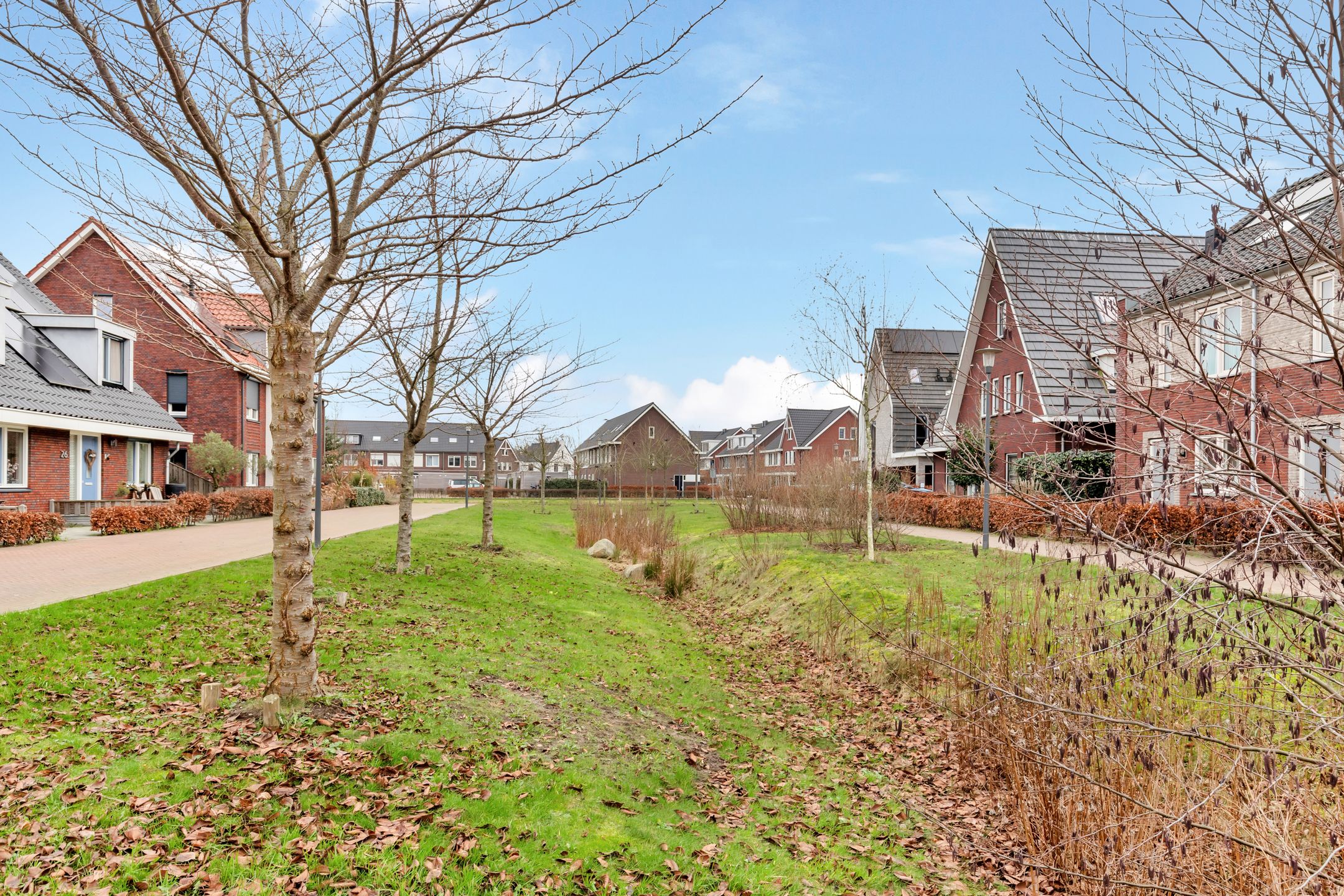 Foto 30 van Aardbei 9