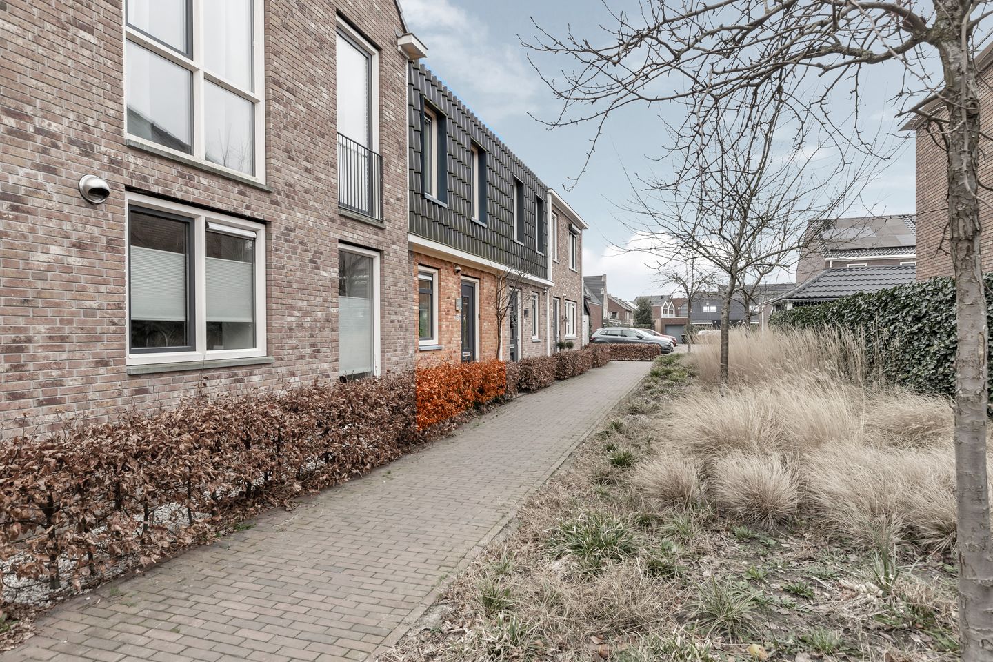 Foto 5 van Aardbei 9