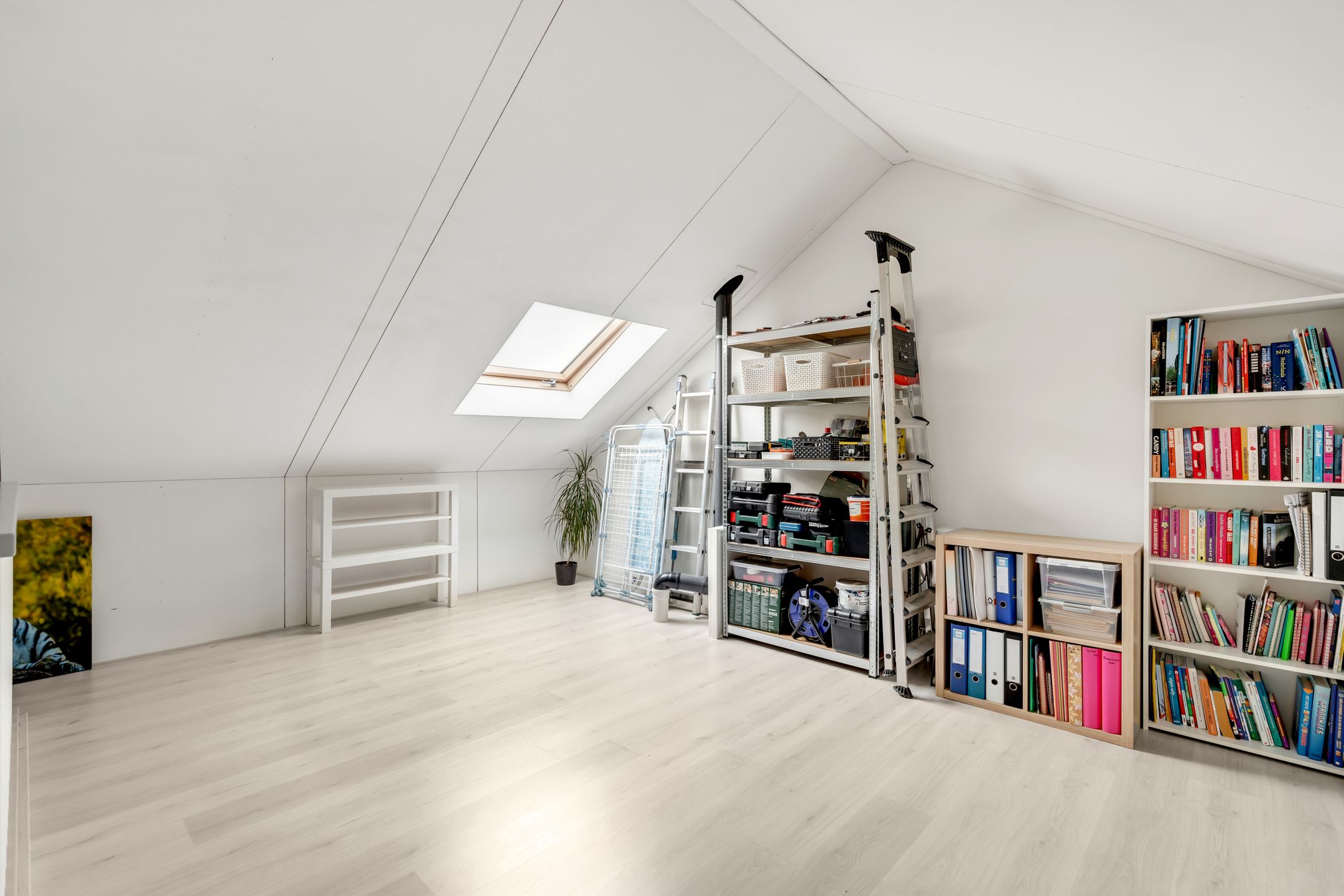 Foto 21 van Aardbei 9