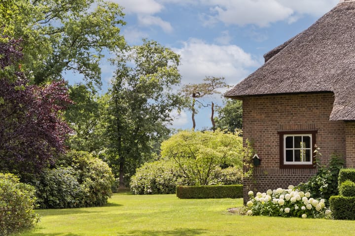 Foto 39 van Oude Tolweg 3