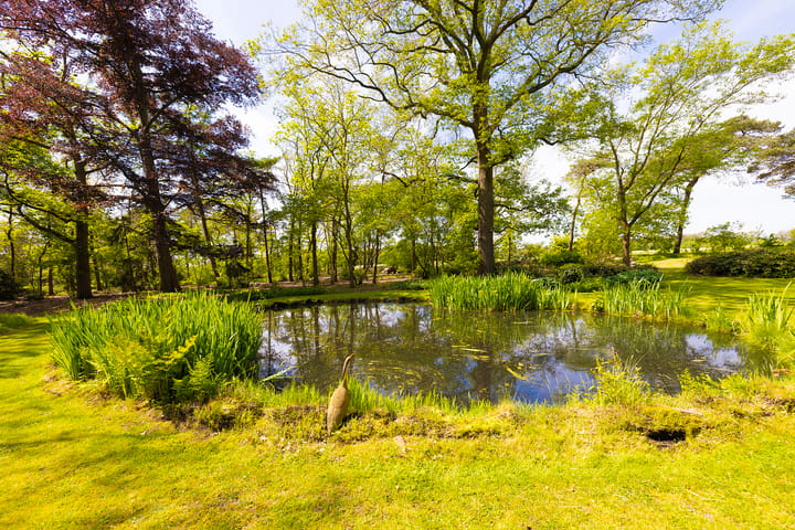 Foto 42 van Oude Tolweg 3