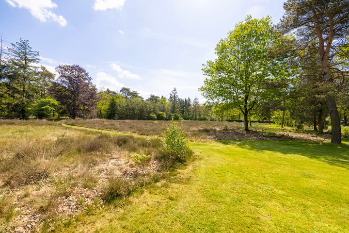 Foto 46 van Oude Tolweg 3