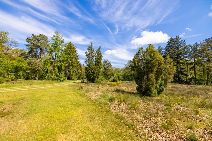 Foto 47 van Oude Tolweg 3