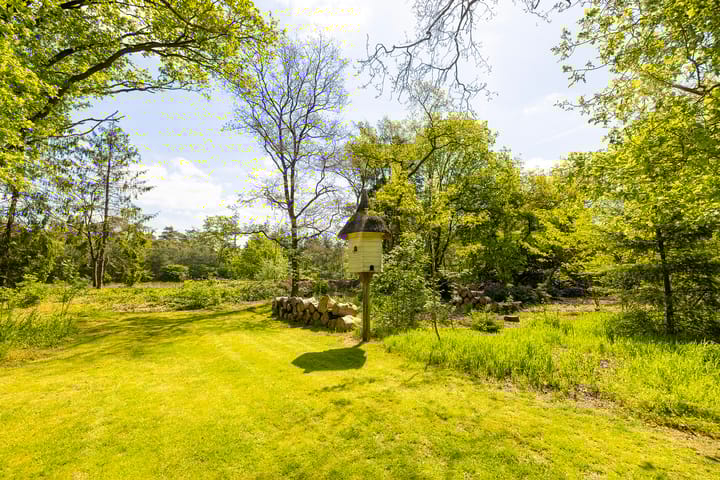 Foto 48 van Oude Tolweg 3