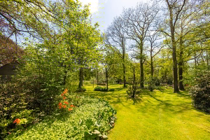 Foto 50 van Oude Tolweg 3