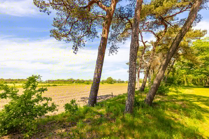 Foto 51 van Oude Tolweg 3