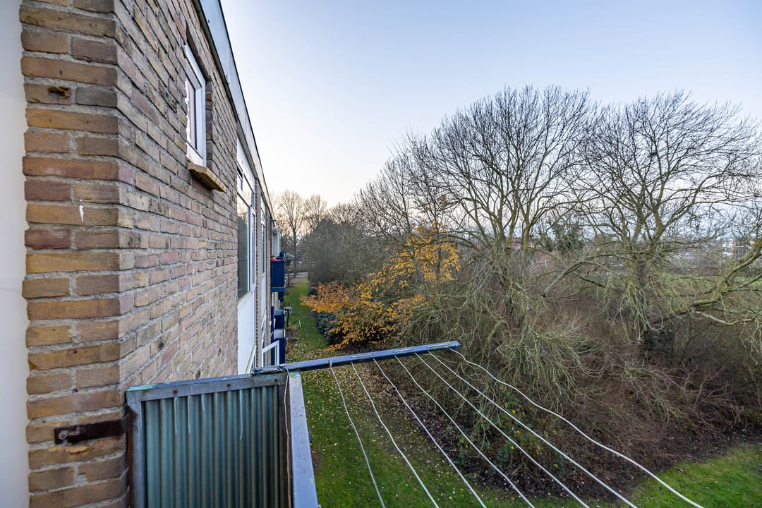 Photo 16 of Moesstraat 156