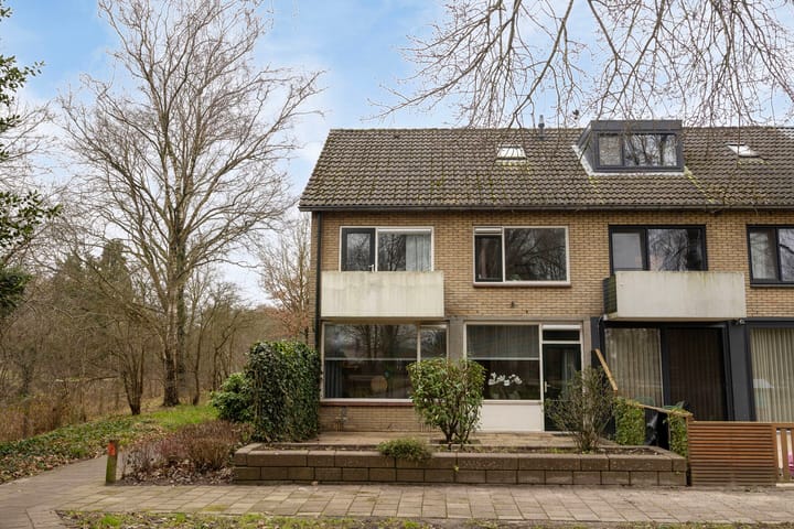 Foto 35 van Van Miereveltstraat 51