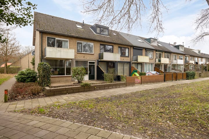 Foto 36 van Van Miereveltstraat 51