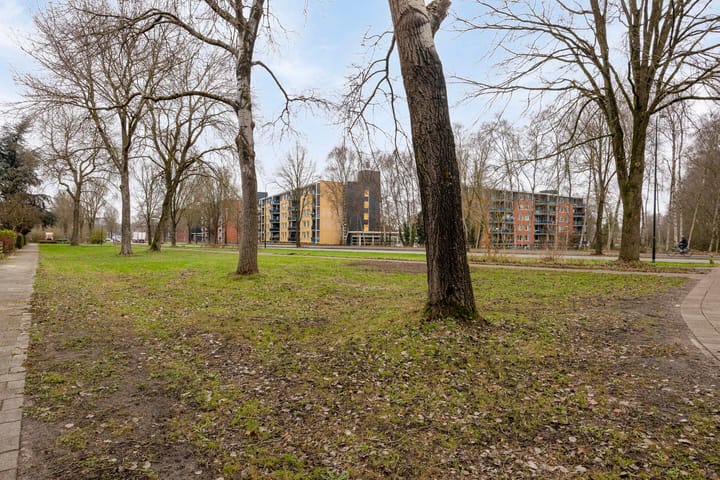 Foto 38 van Van Miereveltstraat 51