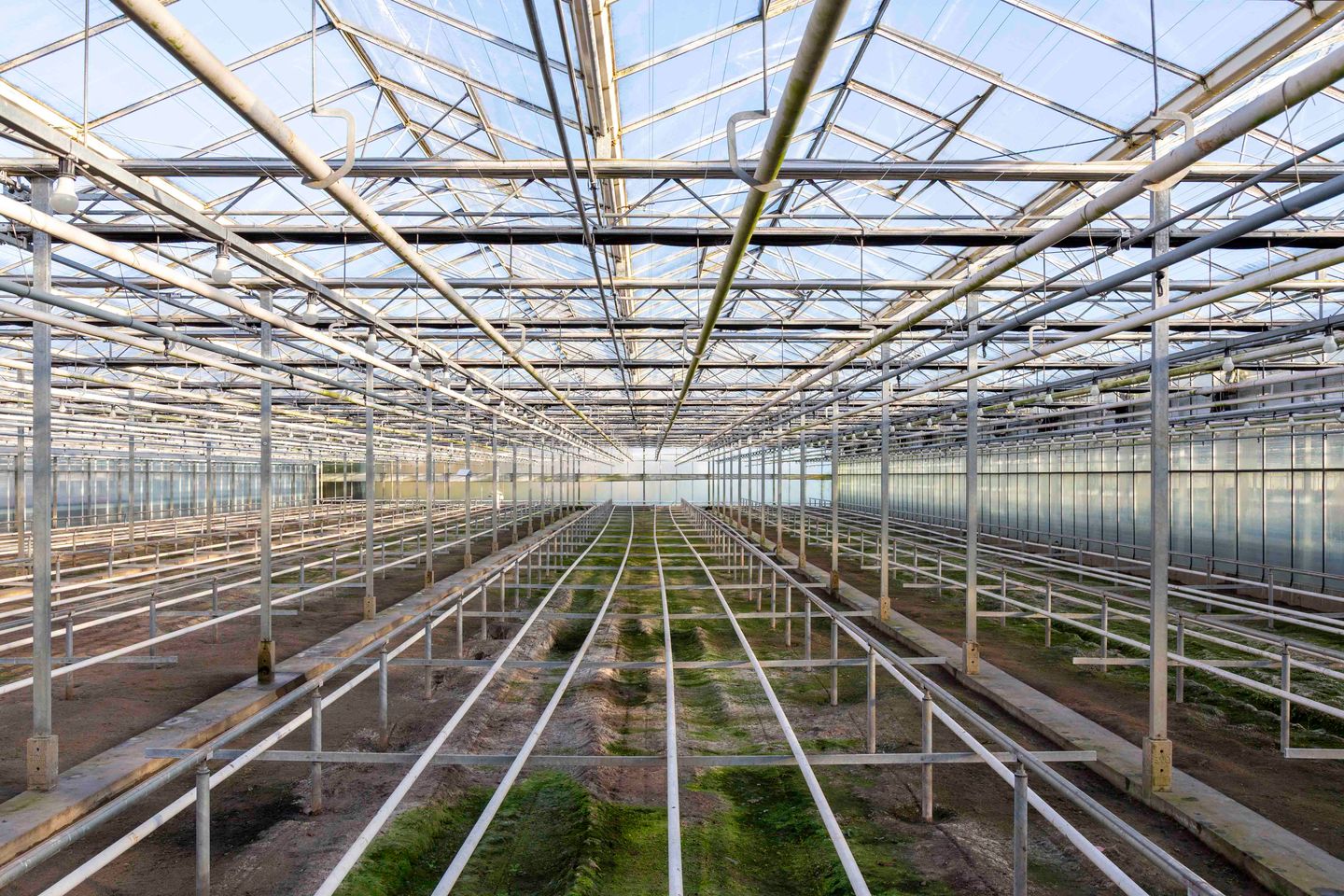 Bekijk foto 3 van Hazenkampweg 29