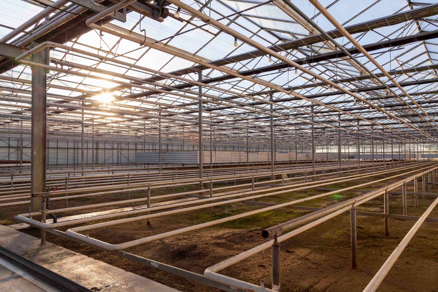 Bekijk foto 1 van Hazenkampweg 29