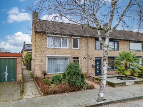 van Dolhoffstraat thumbnail