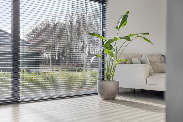 Foto 16 van Fruitgaard 74