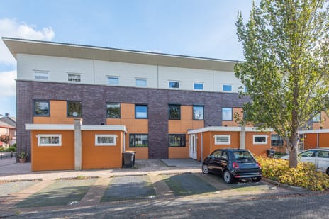 Oester 38 tertiary image