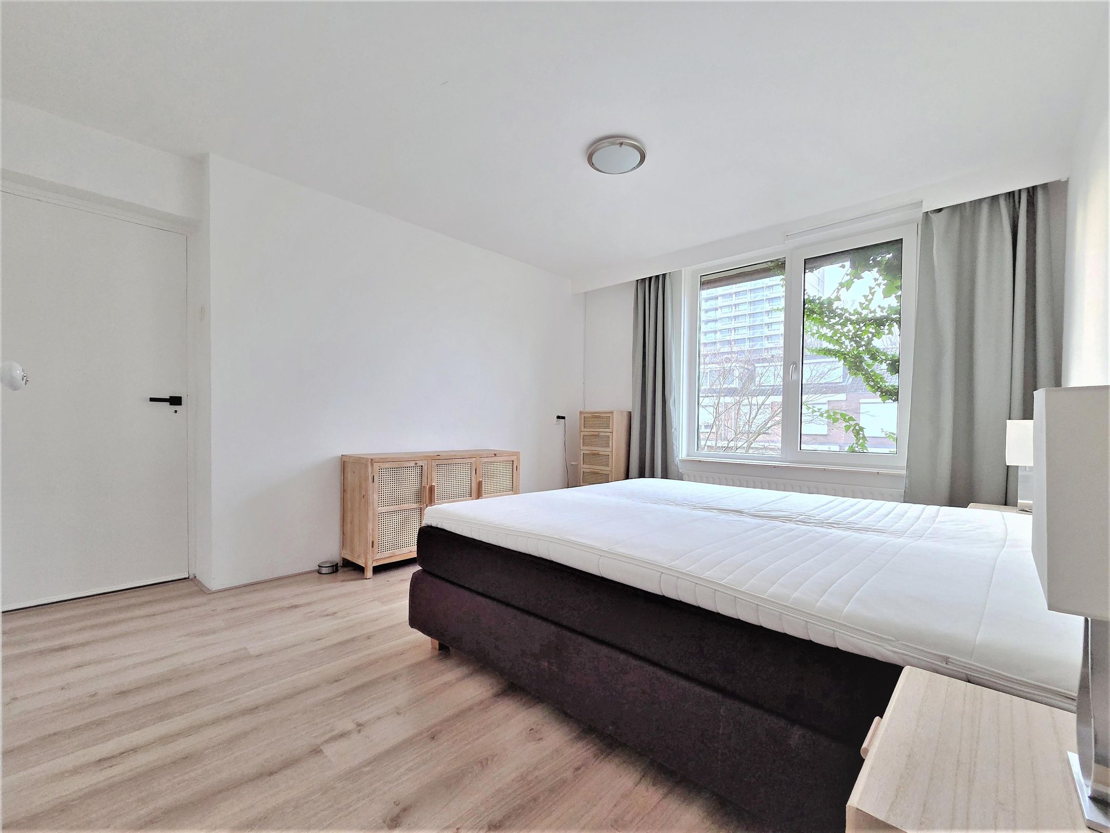 Photo 36 of Pallieterstraat 45