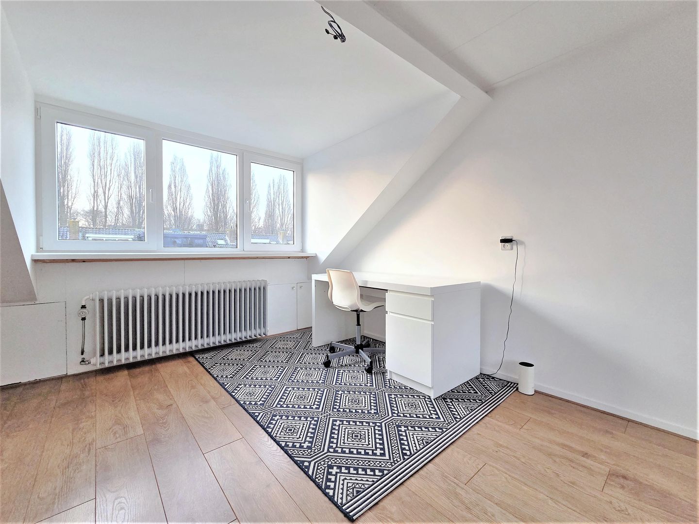 Photo 50 of Pallieterstraat 45