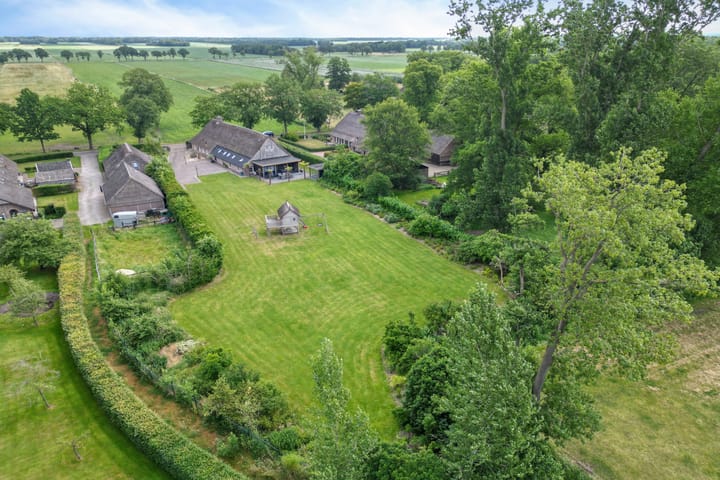 Middendorp 15 main image