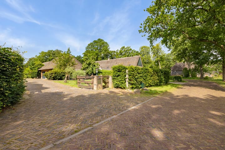 Foto 43 van Middendorp 15