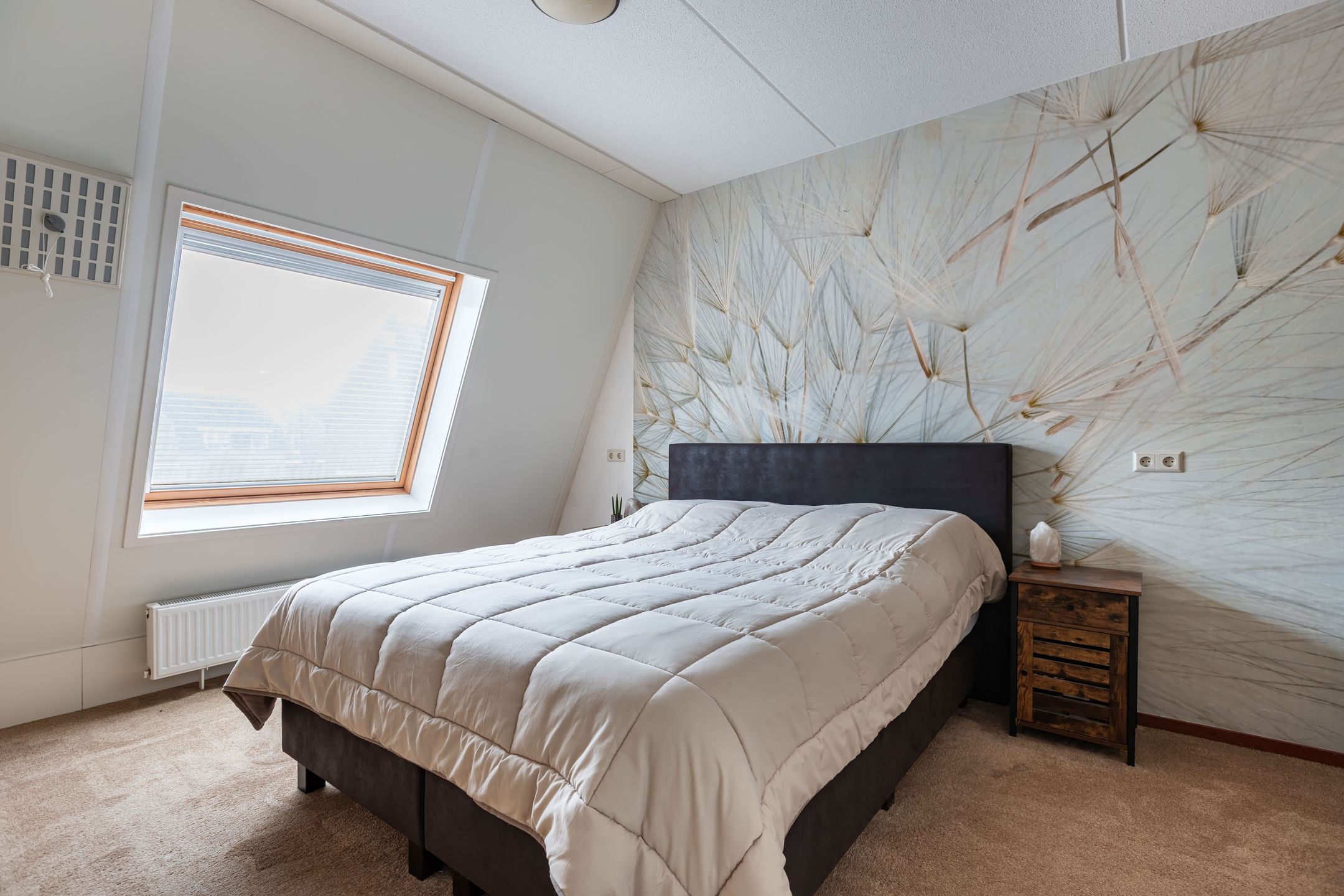 Foto 42 van Schokker 41