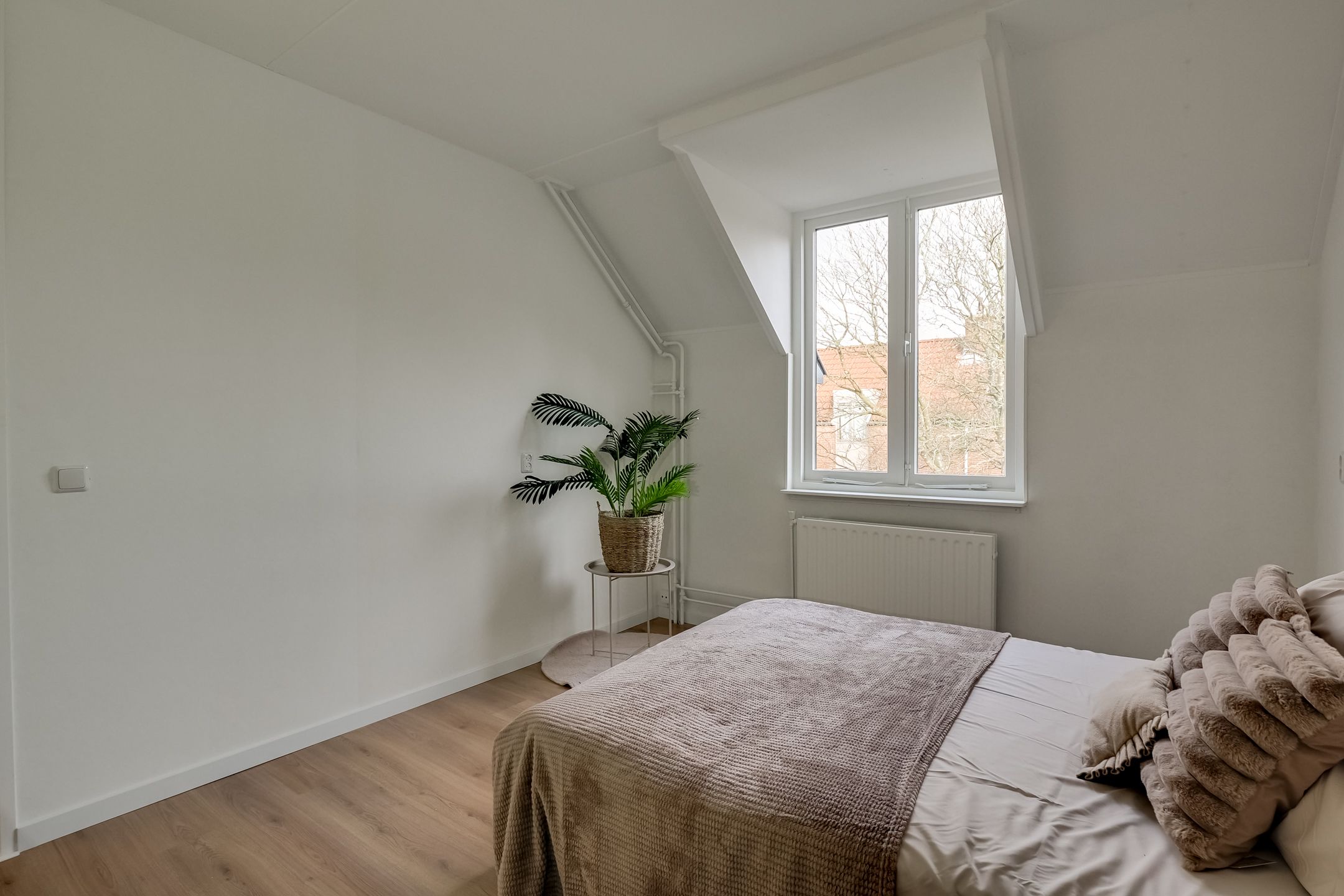 Foto 24 van Groef 12