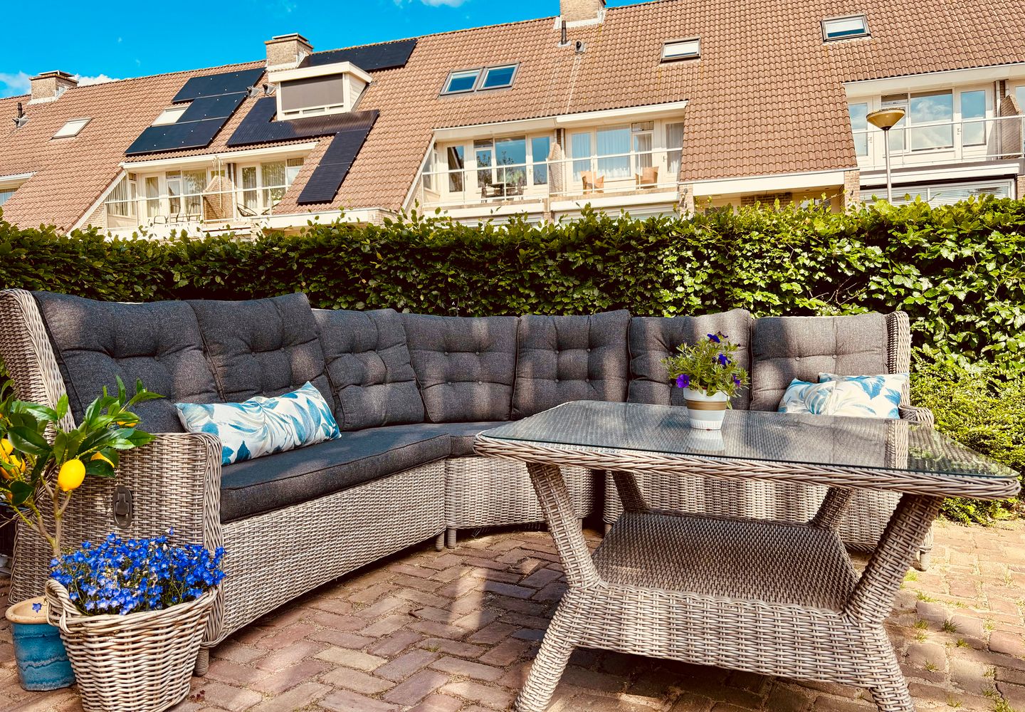 Photo 55 of Korenmolen 1