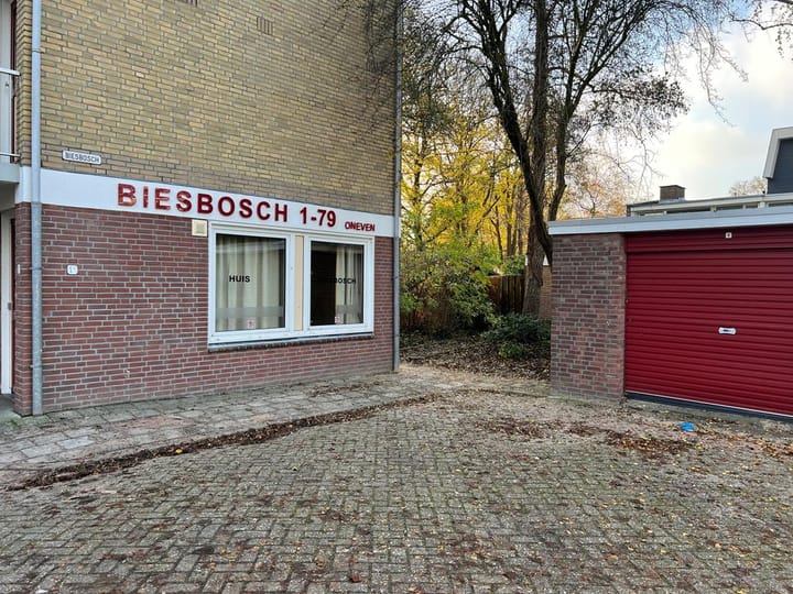 Photo 5 of Biesbosch 77-V