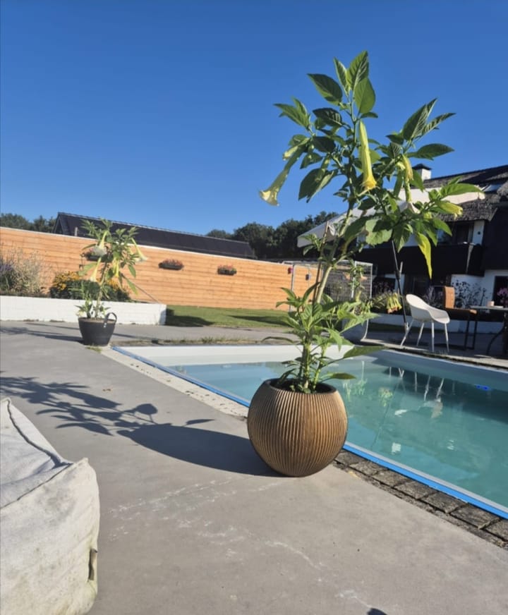 Photo 3 of Graafseweg 870