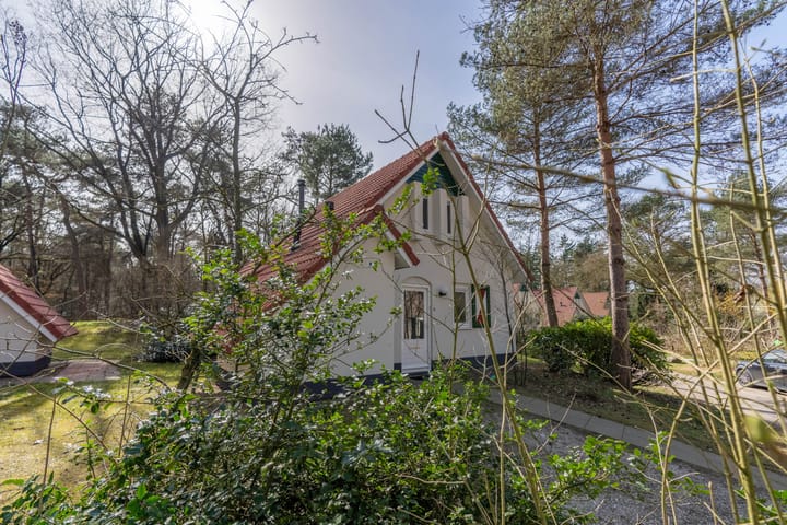 Foto 5 van de Vers 217