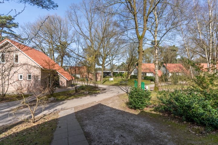 Foto 13 van de Vers 217