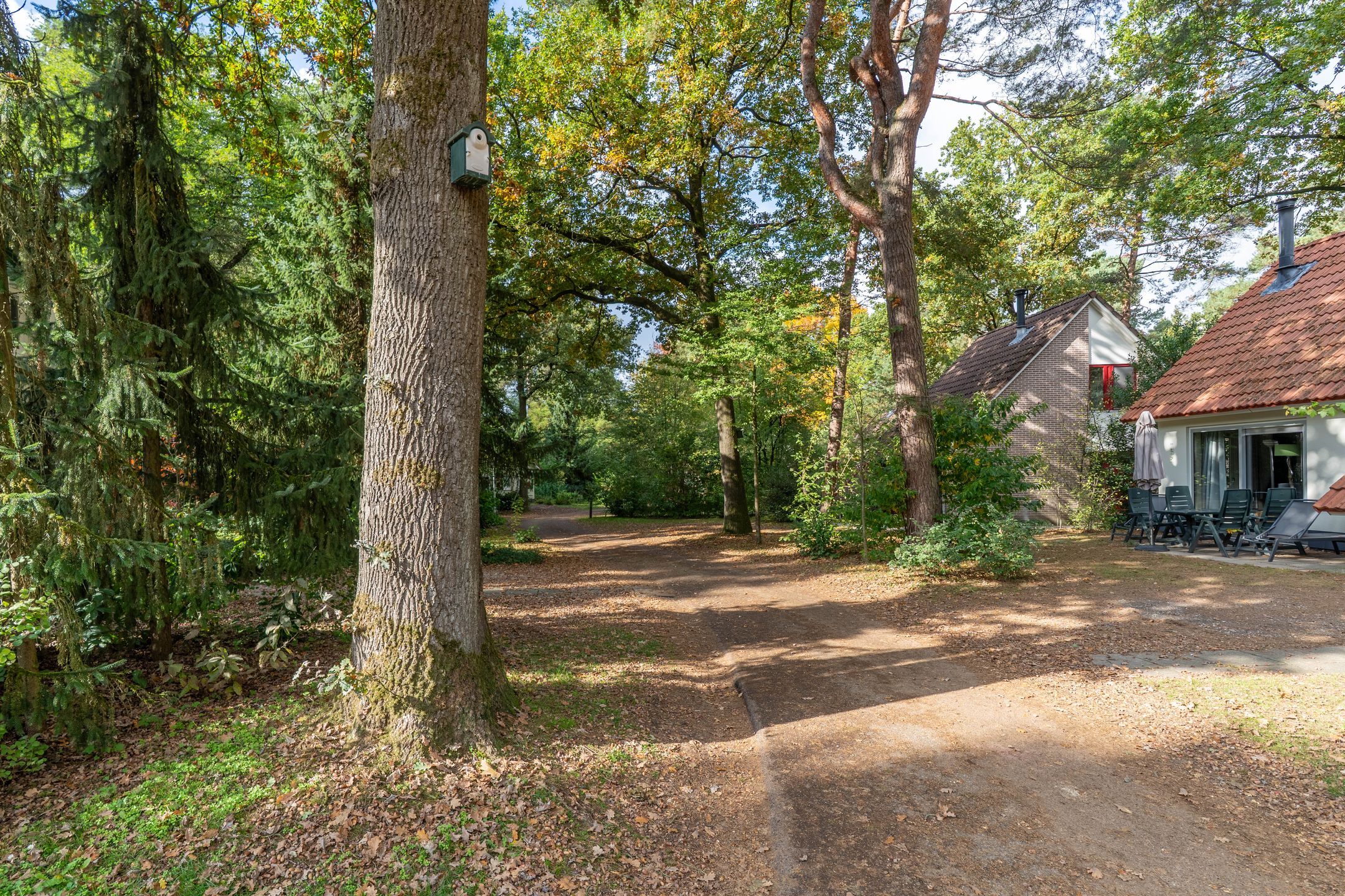 3-bedroom freehold villa in Overloon — photo 4 of 5