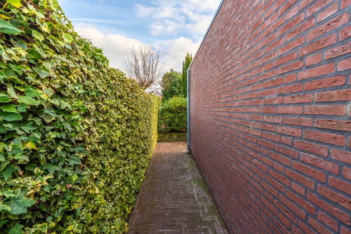 Foto 12 van Lavendelheide 11