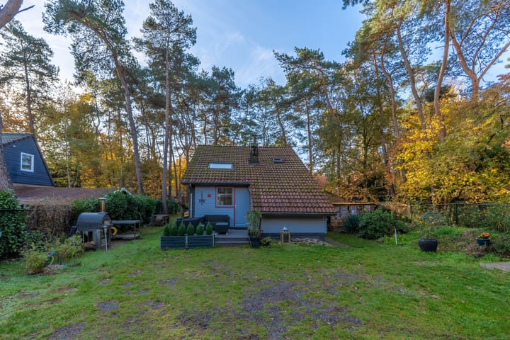 Photo 6 of Helderse Duinen 35