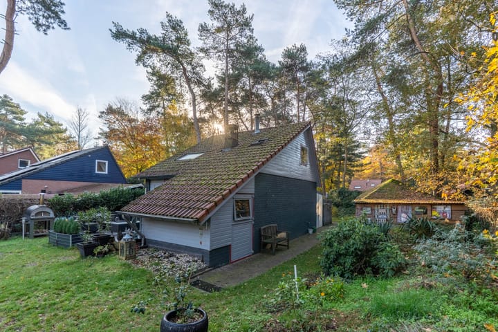 Photo 8 of Helderse Duinen 35