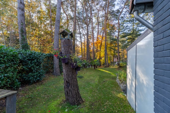 Photo 11 of Helderse Duinen 35