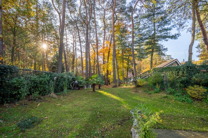 Photo 12 of Helderse Duinen 35