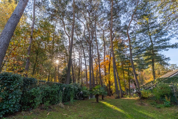 Photo 13 of Helderse Duinen 35