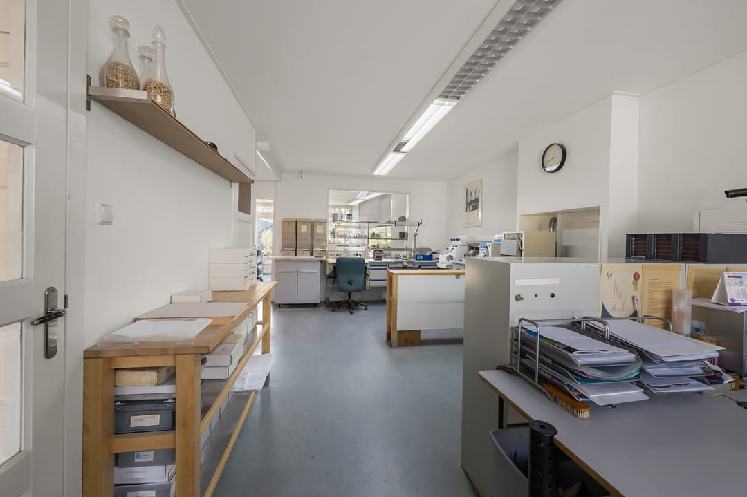 Foto 31 van Zaandammerstraat 12