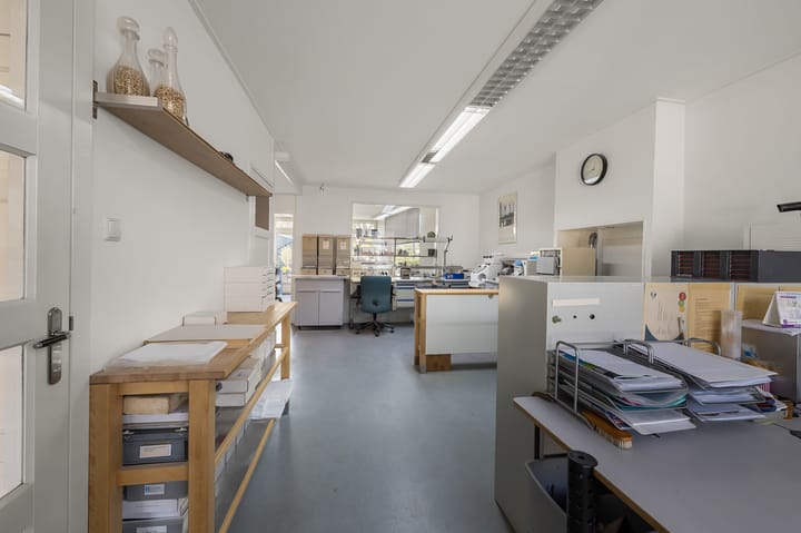 Foto 31 van Zaandammerstraat 12