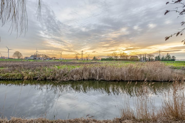 Foto 41 van Raaigras 25