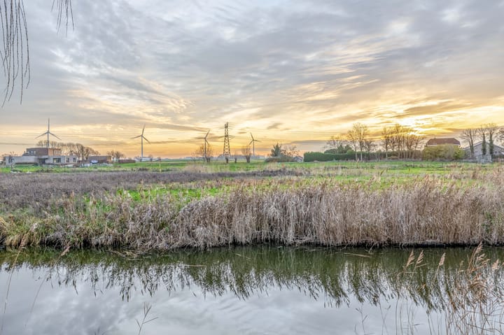 Foto 42 van Raaigras 25