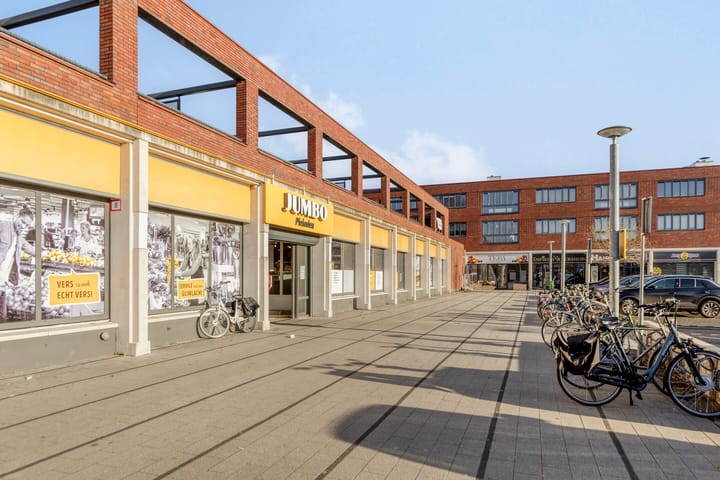 Photo 48 of Loena 31