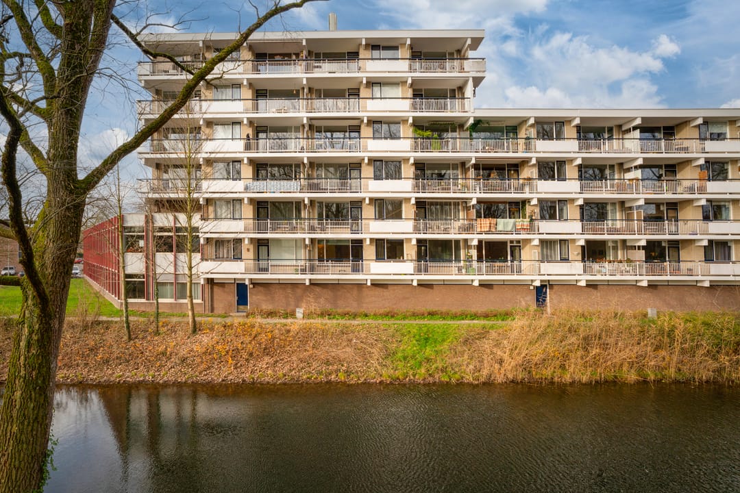 Foto 2 van Groningensingel 1007