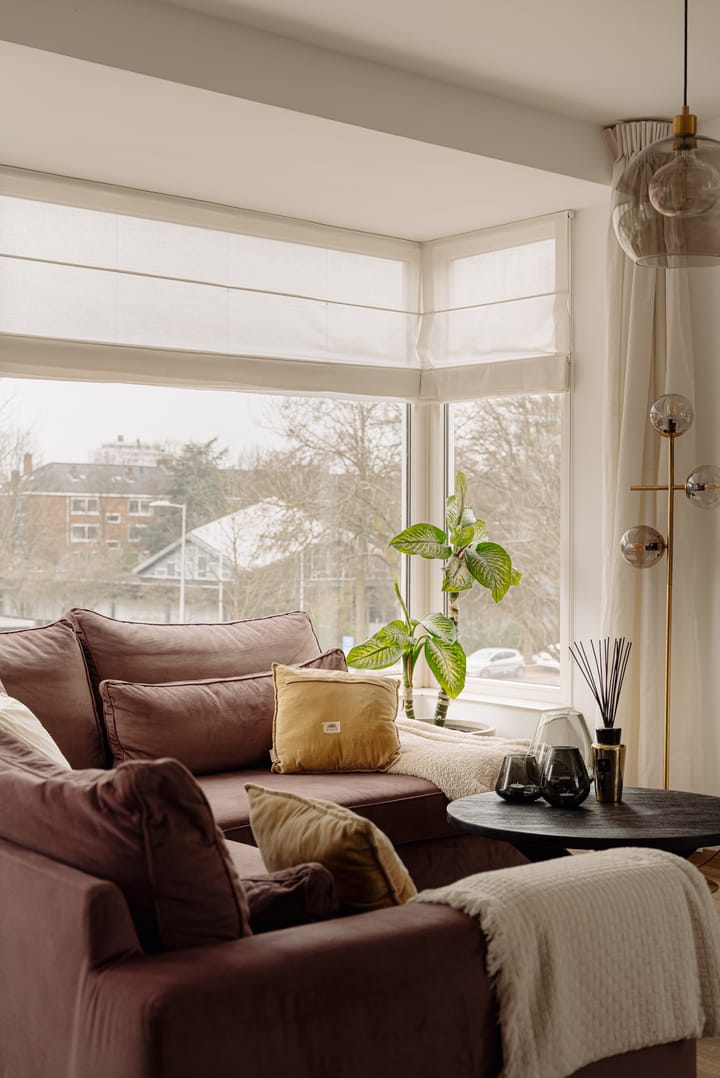 Foto 5 van Van Boshuizenstraat 357