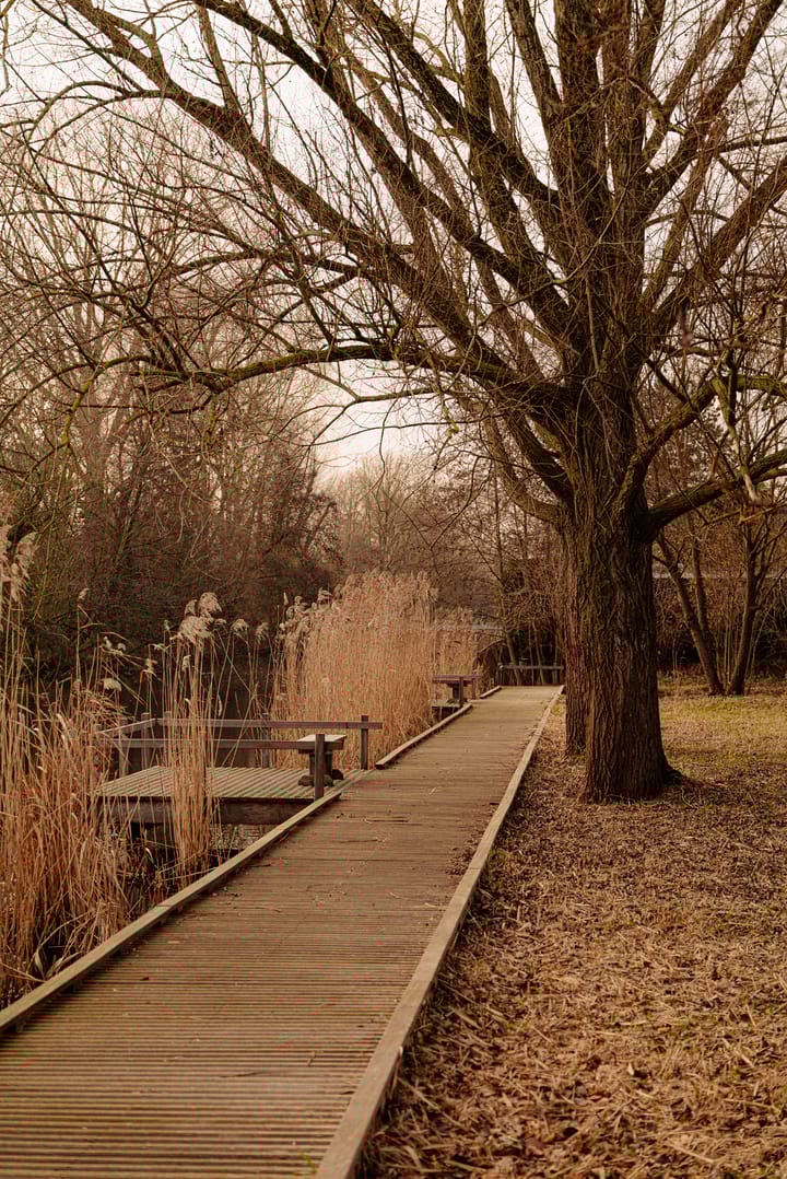 Foto 22 van Van Boshuizenstraat 357